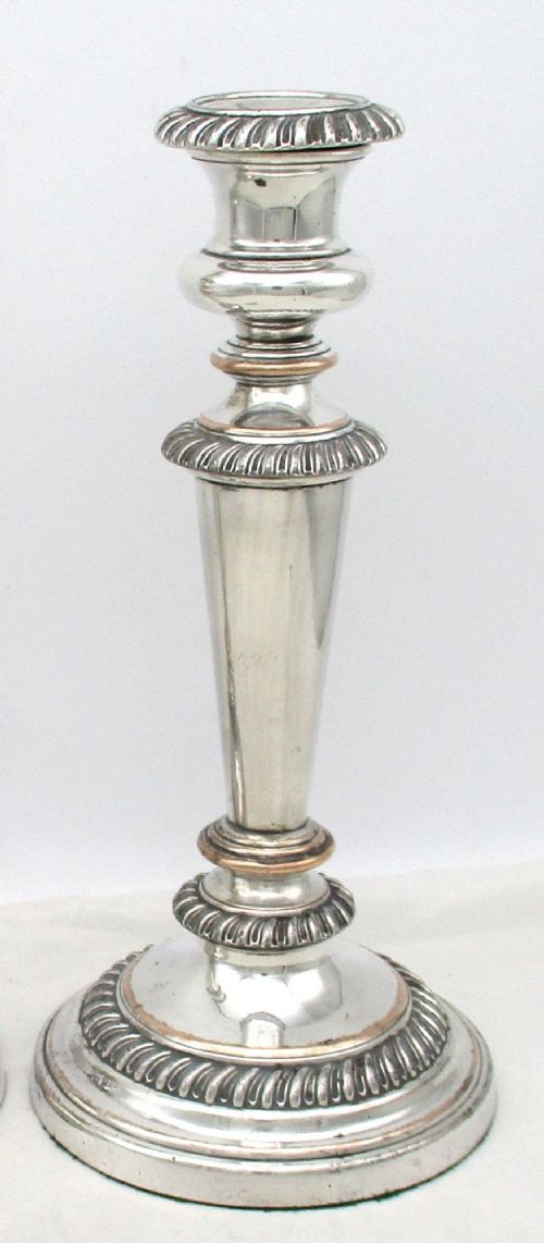 A pair of antique silver-plated candlesticks featuring gadrooned borders, tapered central stems, and circular bases. View II