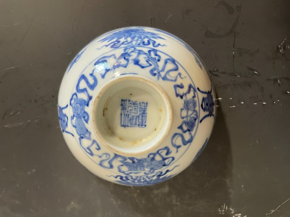 Chinese Blue and White Bowl View VI