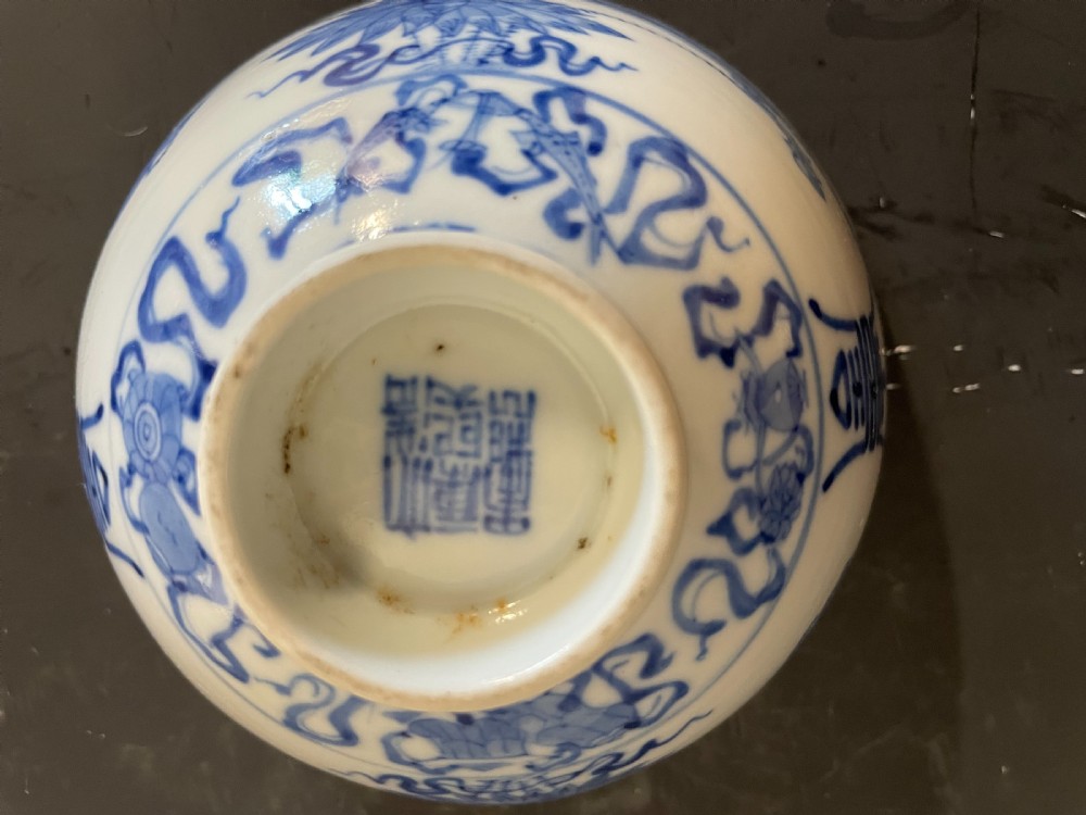 Chinese Blue and White Bowl View VIII