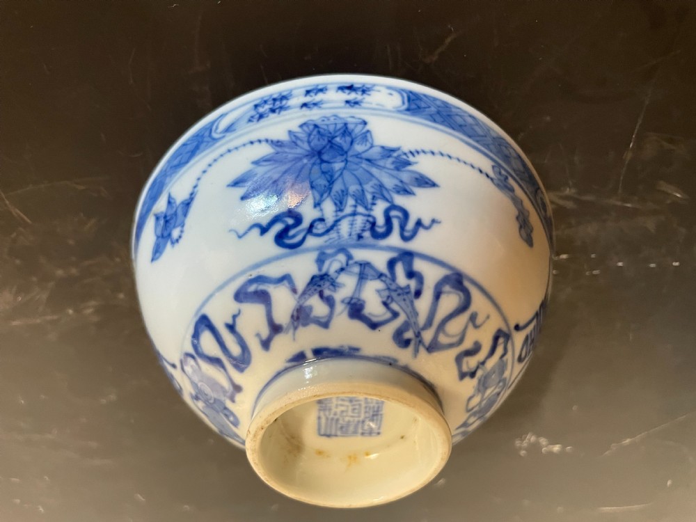 Chinese Blue and White Bowl View IX