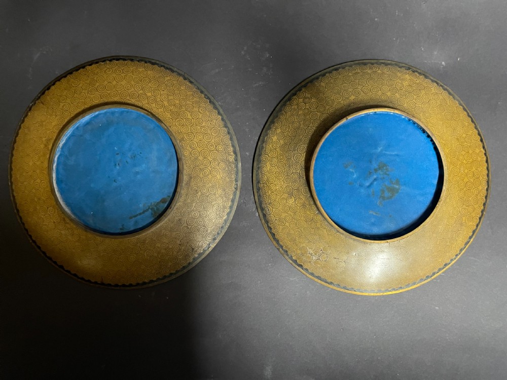 Pair of Cloisonne Dishes View V
