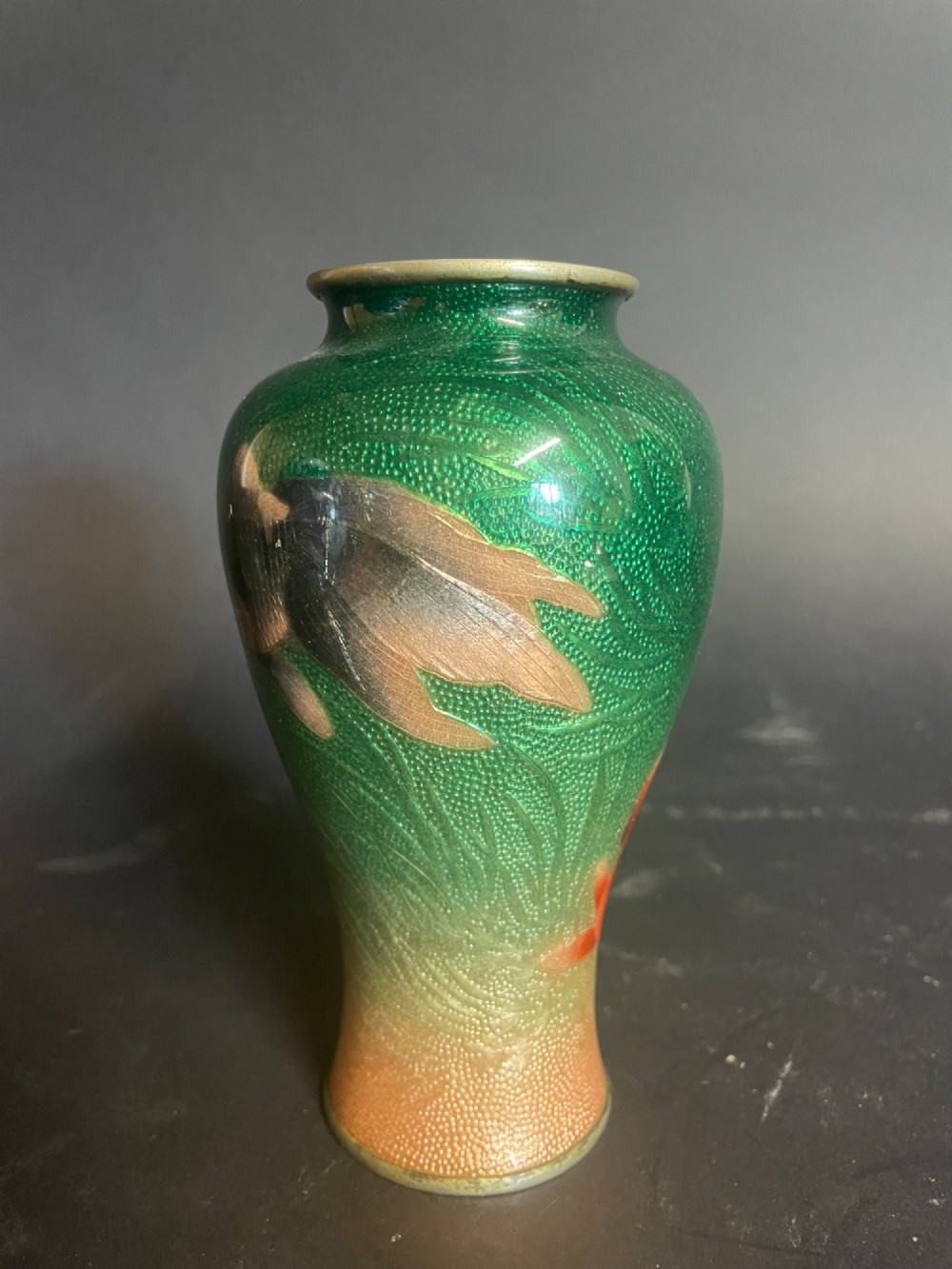 Alternate View