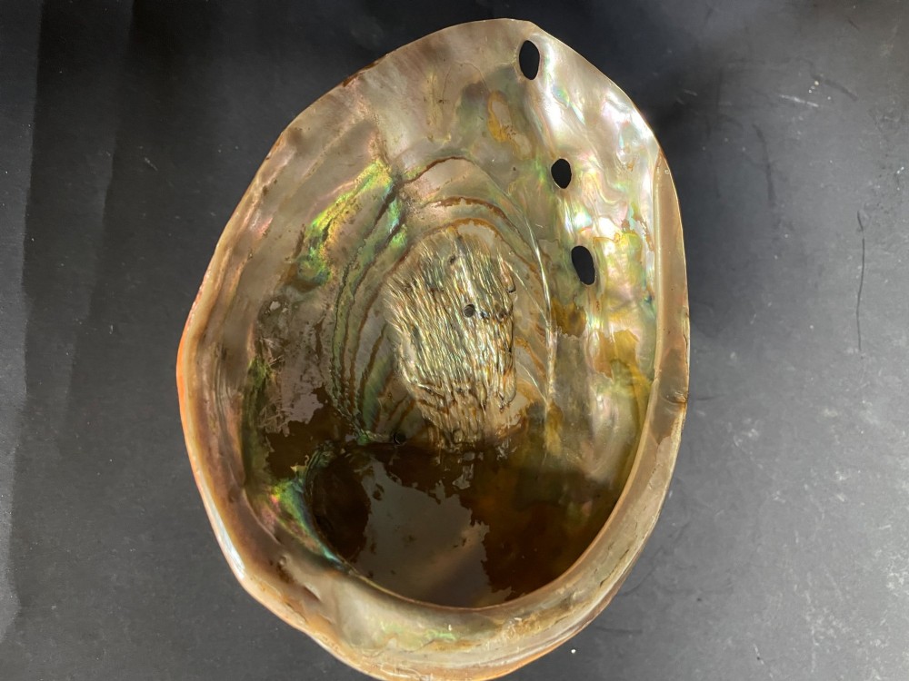 An antique abalone shell dish mounted on a relief-carved silvered metal pedestal with a lobed base. View VIII