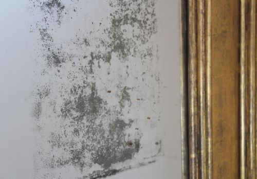 19TH CENTURY PIER MIRROR - ADDITIONAL PHOTO 3