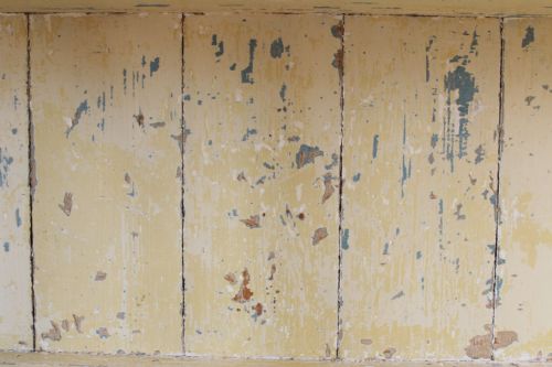 19TH CENTURY GLAZED CABINET - ADDITIONAL PHOTO 3