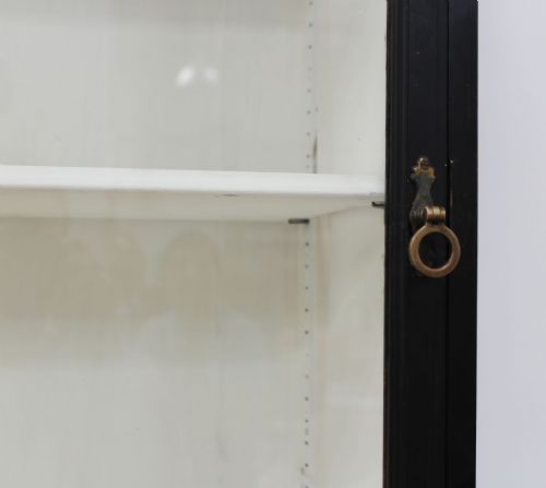 LARGE 19TH CENTURY DISPLAY CABINET - ADDITIONAL PHOTO 1