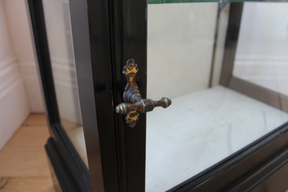 A tall, narrow black painted wooden display cabinet featuring glass side and front panels, interior glass shelves, a moulded cornice, and brass latch hardware. View IV