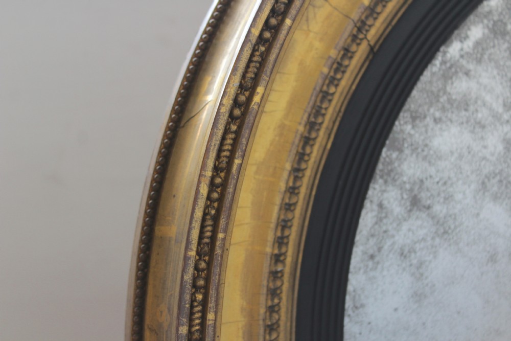 Large Convex Mirror View II