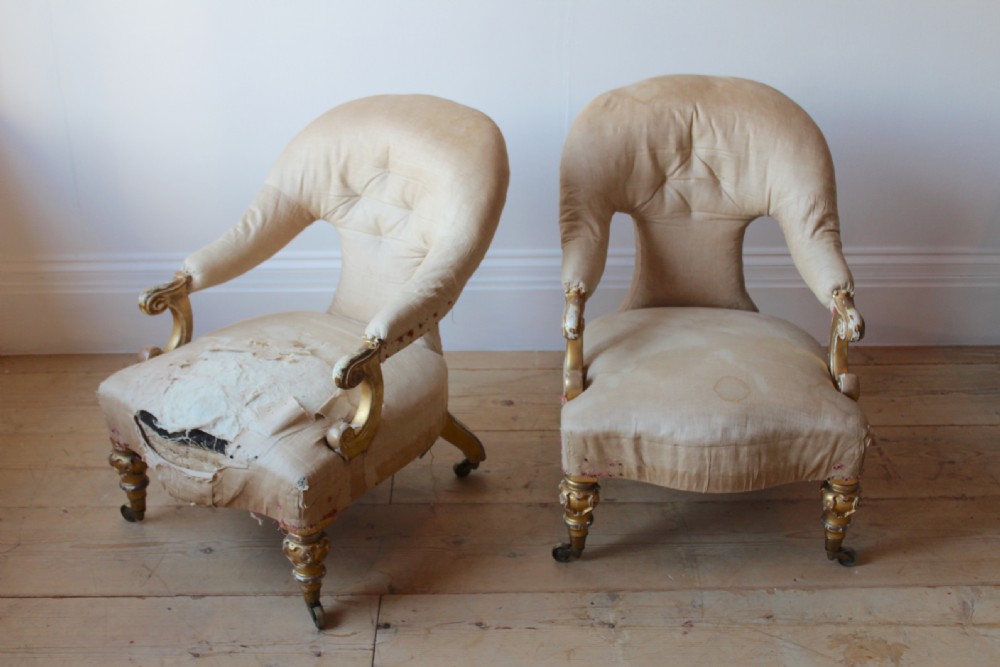 A pair of 19th-century French armchairs featuring curved tub backs, worn cream calico upholstery, and carved gold leaf legs on brass castors. View III