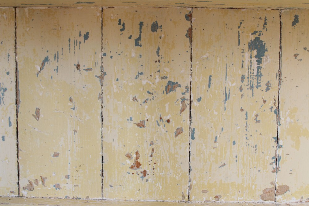 19th Century Glazed Cabinet View IV