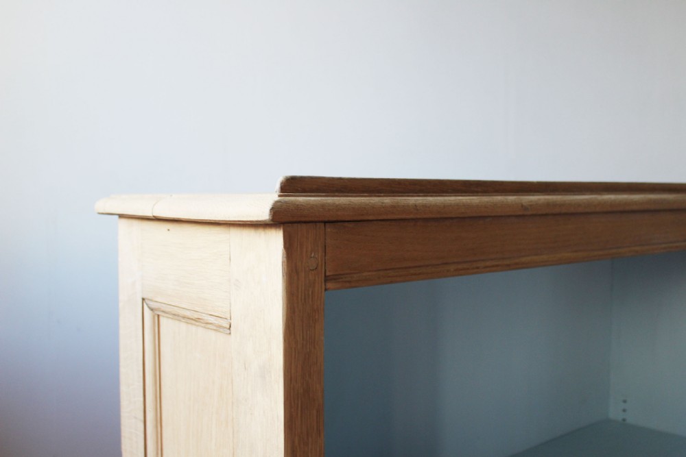 Pair of 19th Century Dwarf Bookcases View V