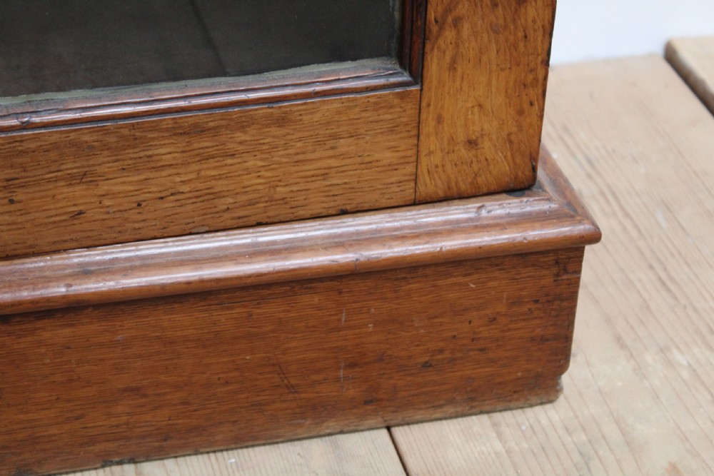 19th Century Oak Bookcase View III