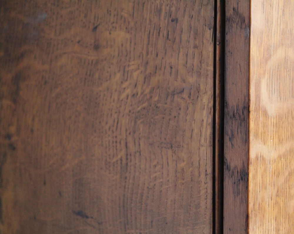 19th Century Oak Bookcase View IV