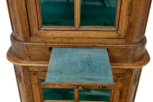 MID 19TH CENTURY GLAZED CARVED OAK LIGE CABINET - ADDITIONAL PHOTO 6