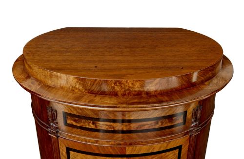 19TH CENTURY BURR WALNUT PEDESTAL CUPBOARD - ADDITIONAL PHOTO 7