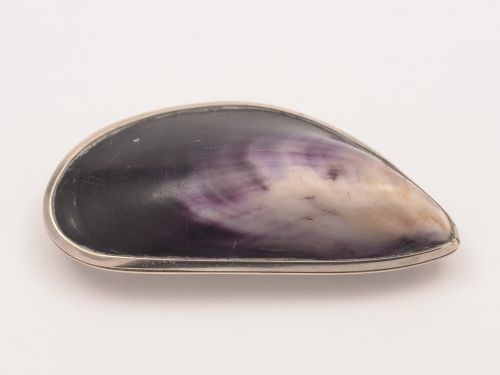 Victorian Mussel Shell Vesta Case, Circa 1890