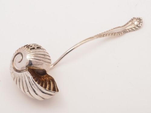 fig 1. Edwardian Silver Plated Nautilus Shell Shaped Sugar Sifter, Circa 1905