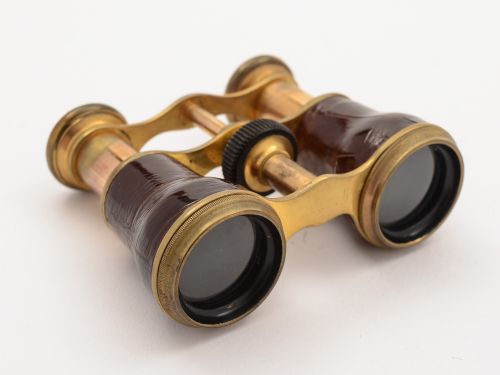 Pair of Crocodile Skin Opera Glasses, Circa 1900