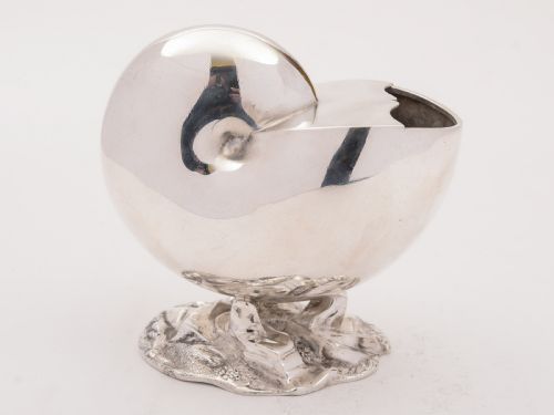 Victorian Nautilus Shell Spoon Warmer, Circa 1880