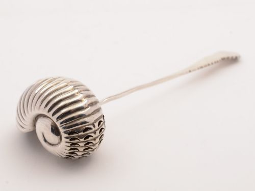 Silver Nautilus Shell Sugar Sifting Spoon, Birmingham 1916