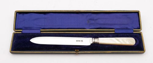 Nice Edwardian  Silver Bladed Cake Knife - Sheffield 1901