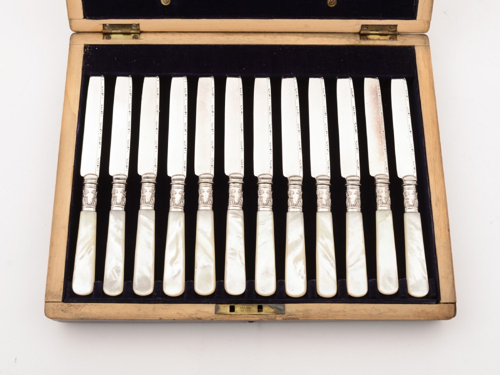 Cased Mother of Pearl and Silver Plated Dessert Set, Circa 1905 View IV