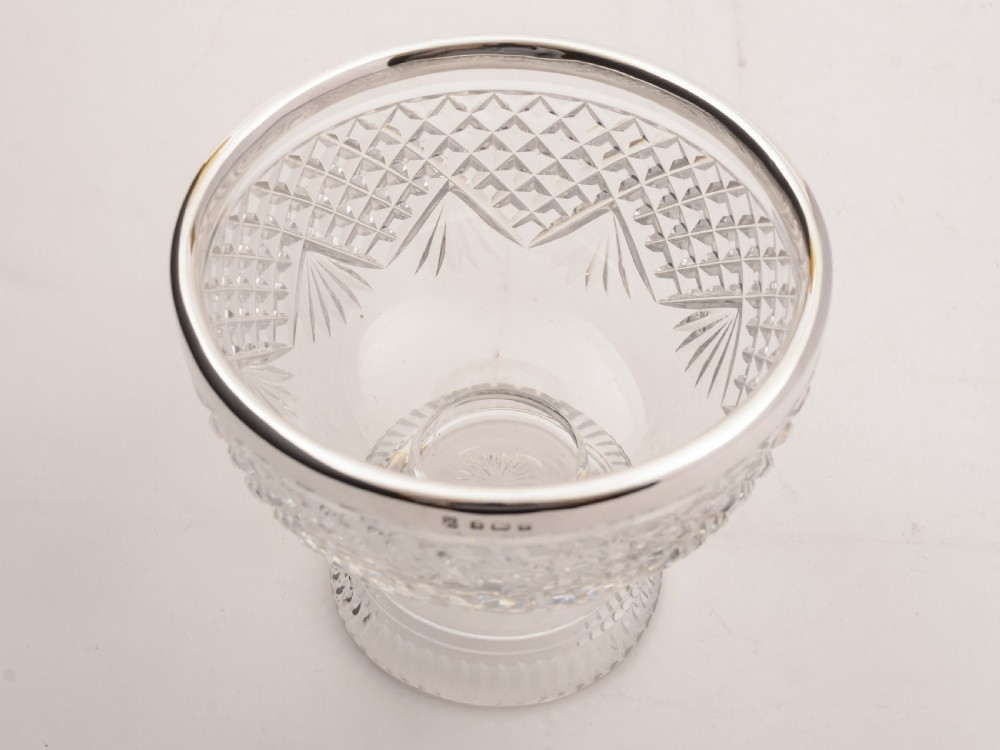 Edwardian Cut Glass and Silver Rimmed Bowl, Birmingham 1910 View IV