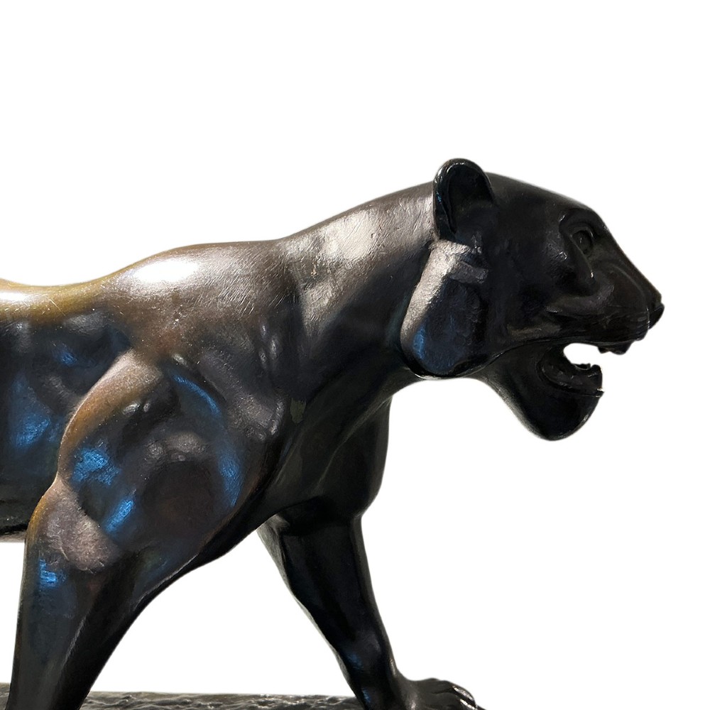 Alternate View