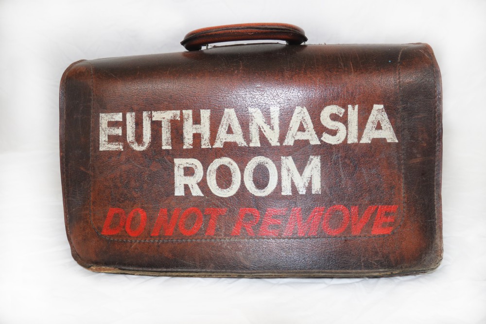 ASYLUM DOCTORS CASE. - EUTHANASIA leather bag View II