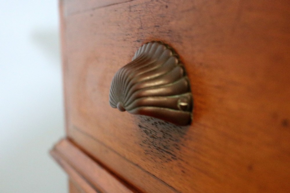Late 19th century light American Walnut bookcase cabinet  View XXI