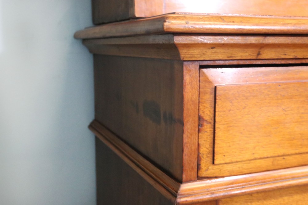 Late 19th century light American Walnut bookcase cabinet  View XXII
