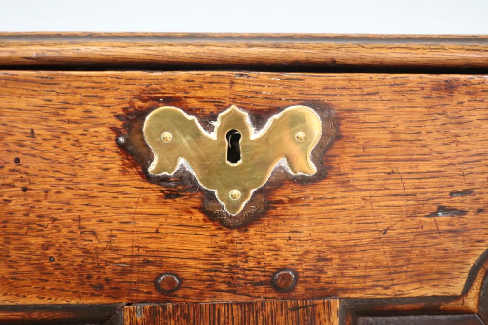 A very fine 18th century oak mule chest View XVIII