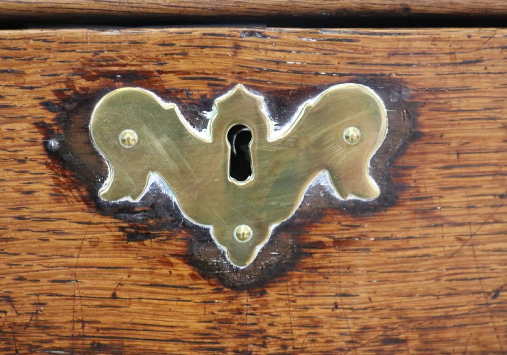 A very fine 18th century oak mule chest View XIX