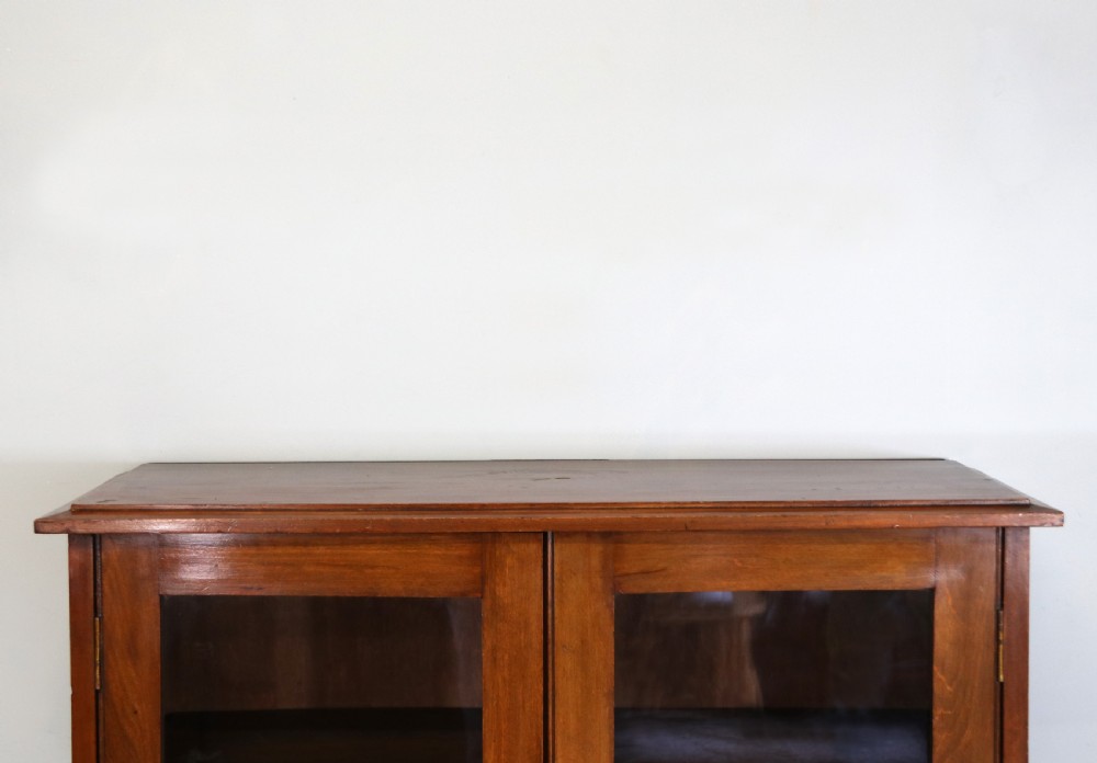 A mid-century glazed two door bookcase cabinet. View IV