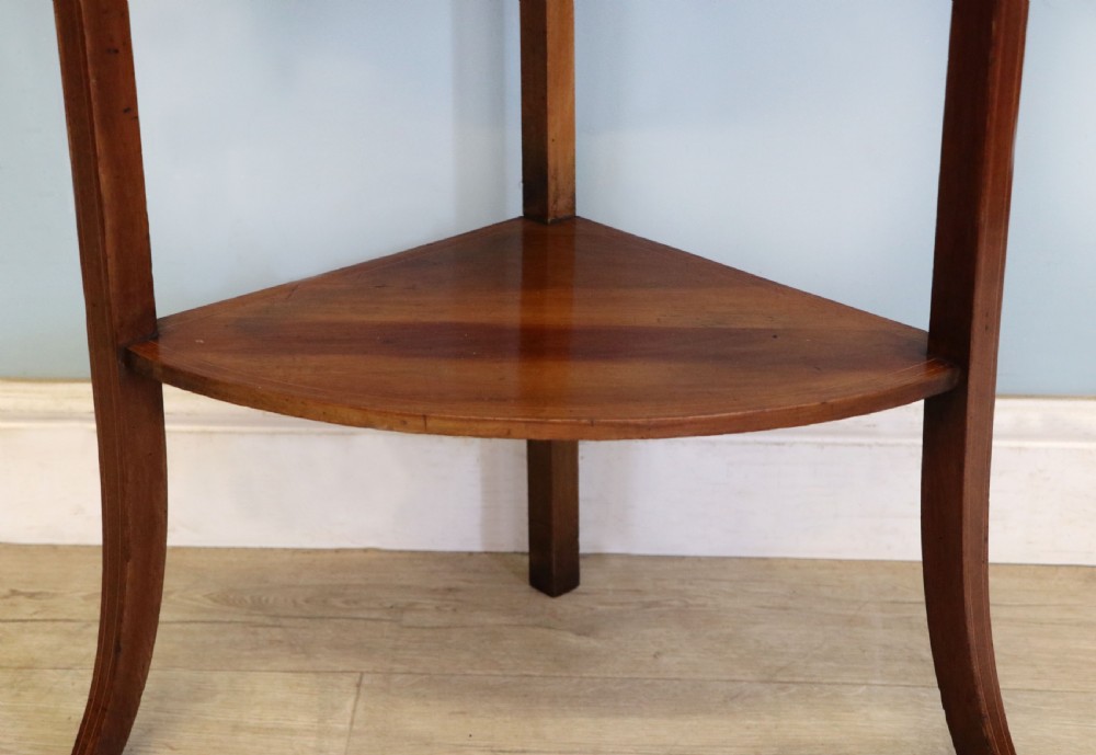  A lovely small Edwardian mahogany and inlaid corner display cabinet.  View XXII