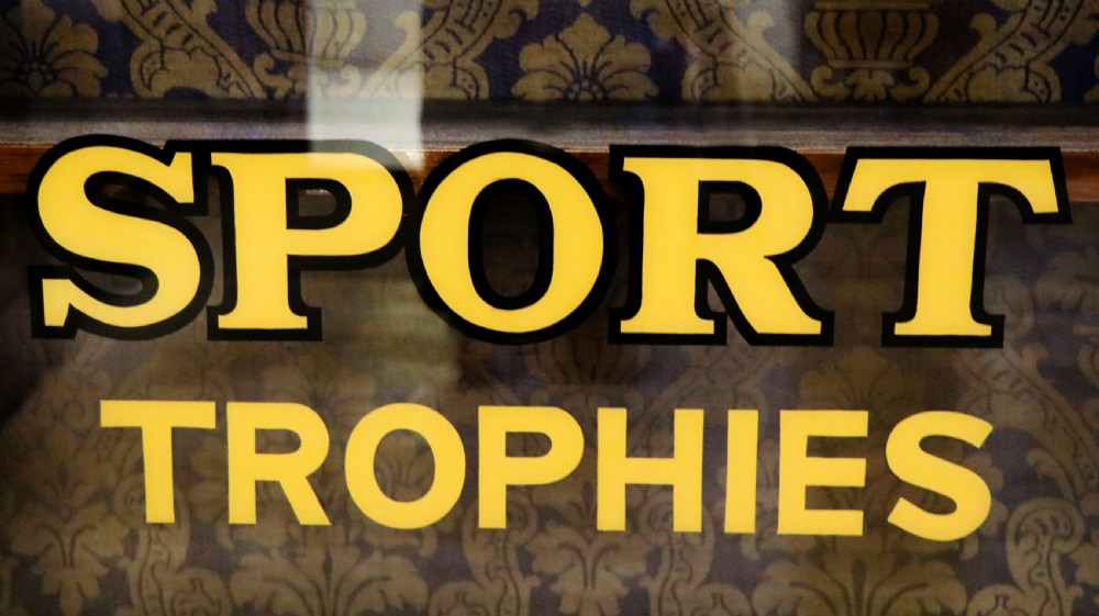 A late nineteenth-century dark mahogany display cabinet featuring two glazed doors adorned with hand-painted gold advertising typography, resting on short cabriole legs. View XIII