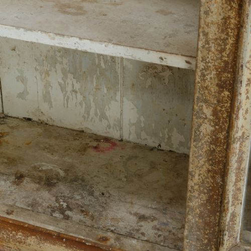 19TH CENTURY GLAZED CABINET IN PAINT - ADDITIONAL PHOTO 14