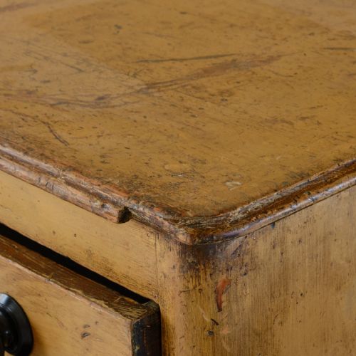 19TH CENTURY PAINTED PINE DOG KENNEL DRESSER - ADDITIONAL PHOTO 8