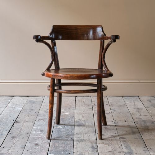 EARLY 20TH CENTURY GROTTO STYLE CARVER CHAIR - ADDITIONAL PHOTO 1