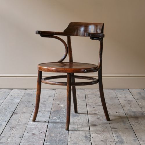 EARLY 20TH CENTURY GROTTO STYLE CARVER CHAIR - ADDITIONAL PHOTO 2