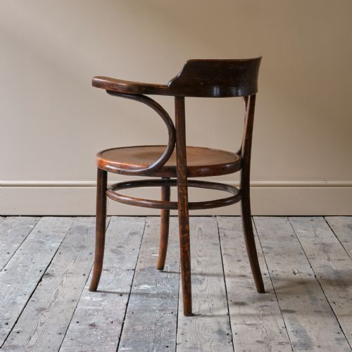 EARLY 20TH CENTURY GROTTO STYLE CARVER CHAIR - ADDITIONAL PHOTO 3