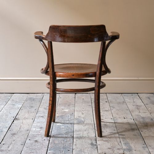EARLY 20TH CENTURY GROTTO STYLE CARVER CHAIR - ADDITIONAL PHOTO 4