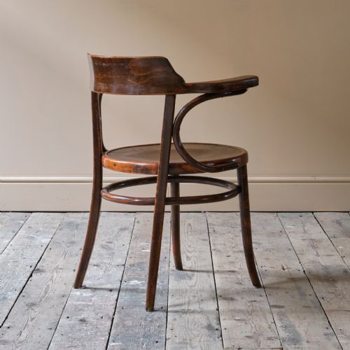 EARLY 20TH CENTURY GROTTO STYLE CARVER CHAIR - ADDITIONAL PHOTO 5