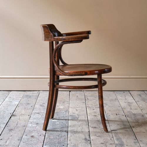 EARLY 20TH CENTURY GROTTO STYLE CARVER CHAIR - ADDITIONAL PHOTO 6