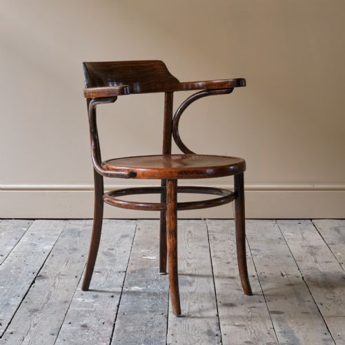 EARLY 20TH CENTURY GROTTO STYLE CARVER CHAIR - ADDITIONAL PHOTO 7