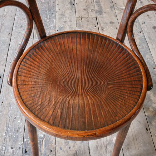 EARLY 20TH CENTURY GROTTO STYLE CARVER CHAIR - ADDITIONAL PHOTO 8