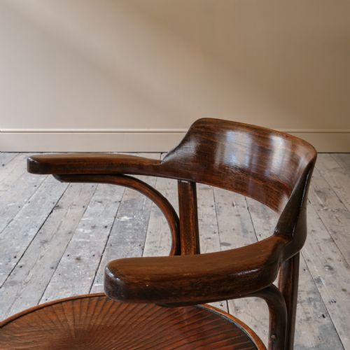 EARLY 20TH CENTURY GROTTO STYLE CARVER CHAIR - ADDITIONAL PHOTO 9