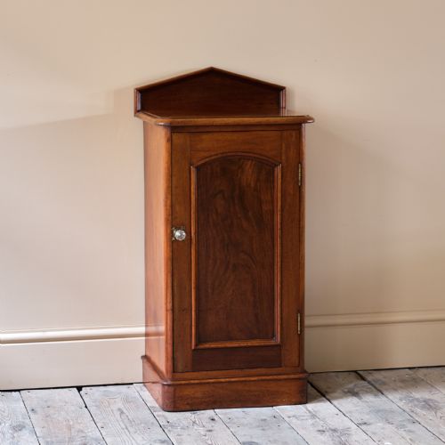 19TH CENTURY MAHOGANY POT CUPBOARD - ADDITIONAL PHOTO 2