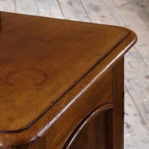 19TH CENTURY MAHOGANY POT CUPBOARD - ADDITIONAL PHOTO 5