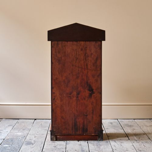 19TH CENTURY MAHOGANY POT CUPBOARD - ADDITIONAL PHOTO 9